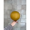 10 ballonnen mosterd (5 inch)