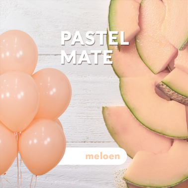 10 ballonnen pastel mat meloen (klein formaat)